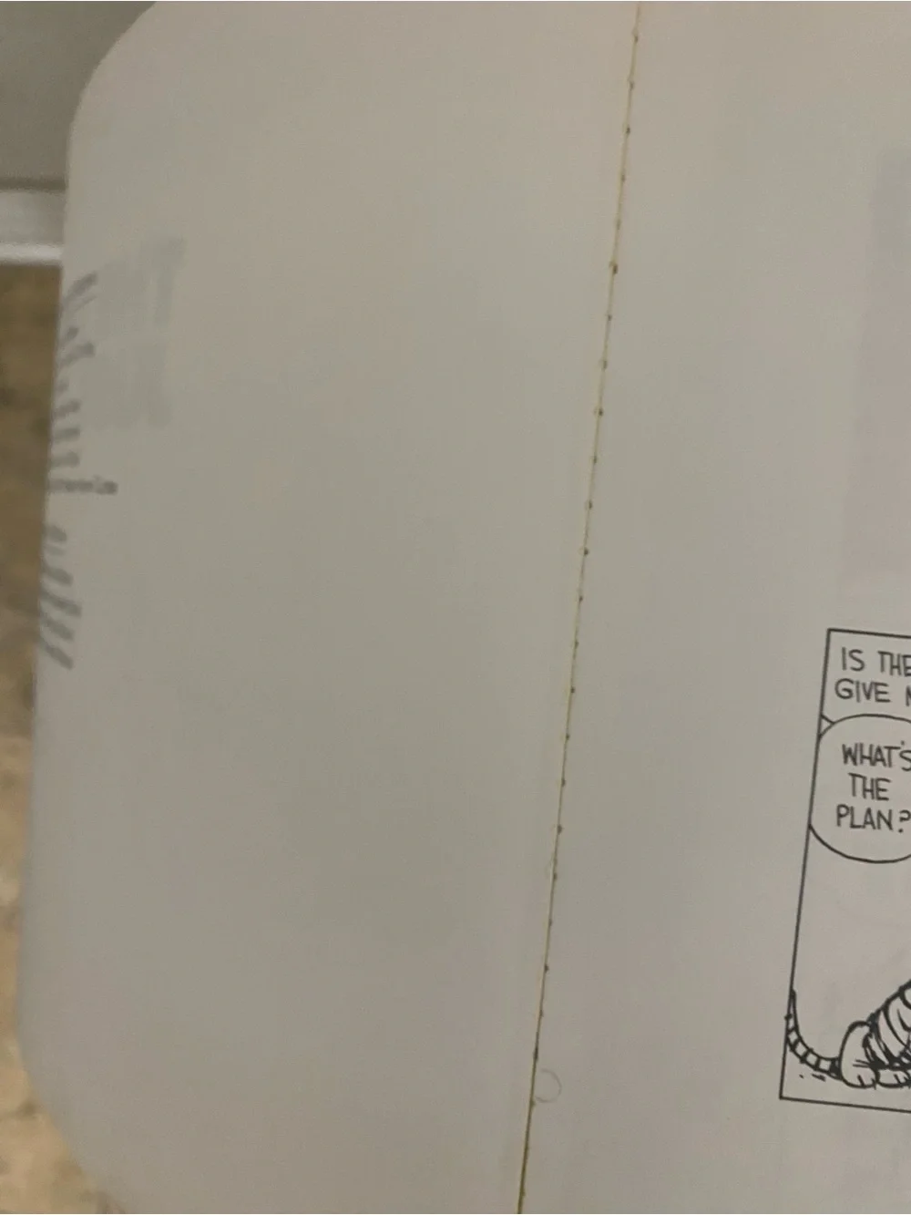 The Days Are Just Packed Calvin and Hobbes Bill Watterson Comic Collection 1993
